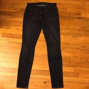 7 For All Mankind The Skinny